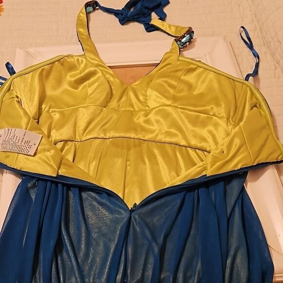 Cache Teal and lime bejeweled halter maxi gown size 4 - Picture 9 of 13